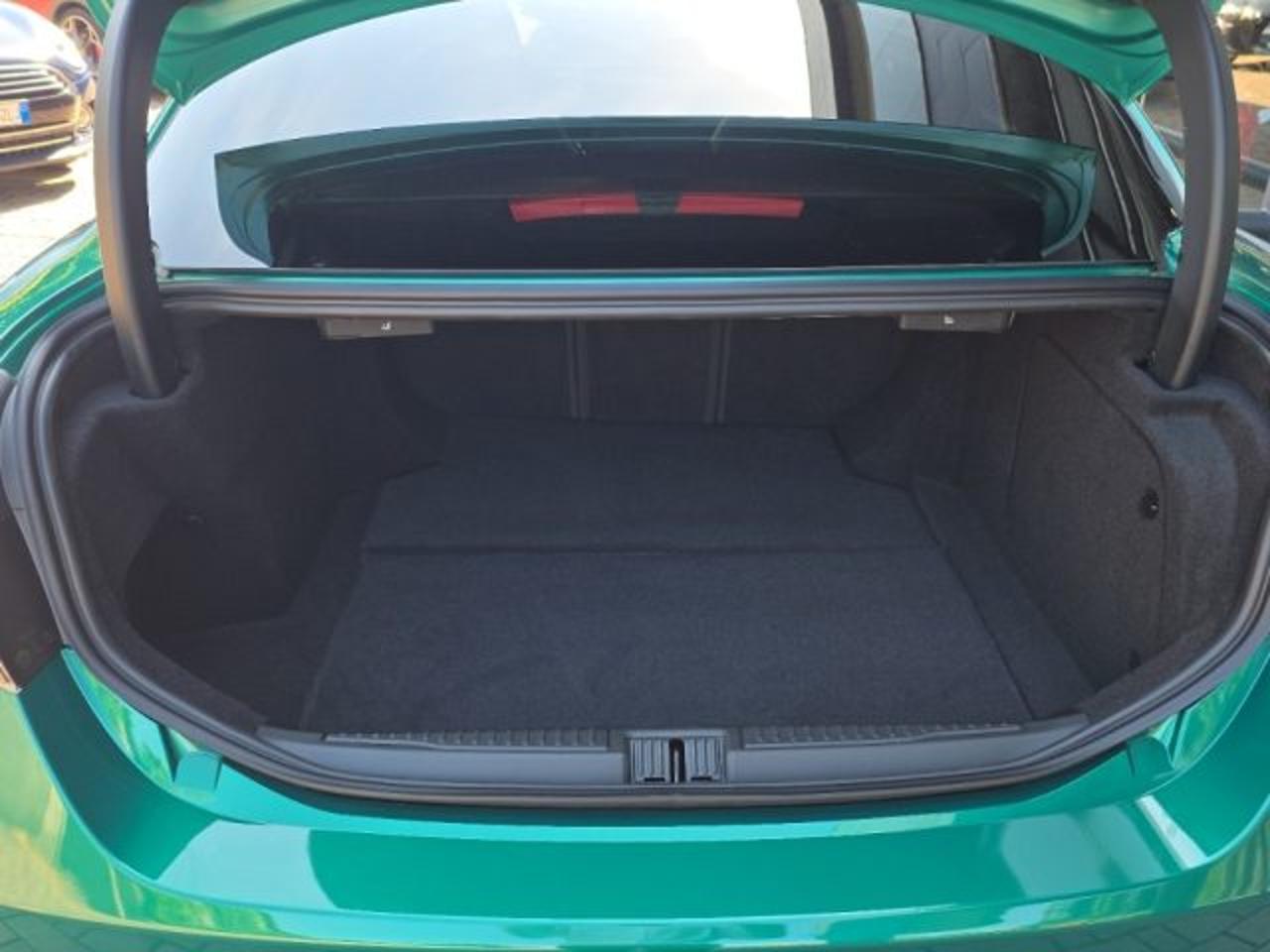 Alfa Romeo Alfa Romeo Giulia usata 21