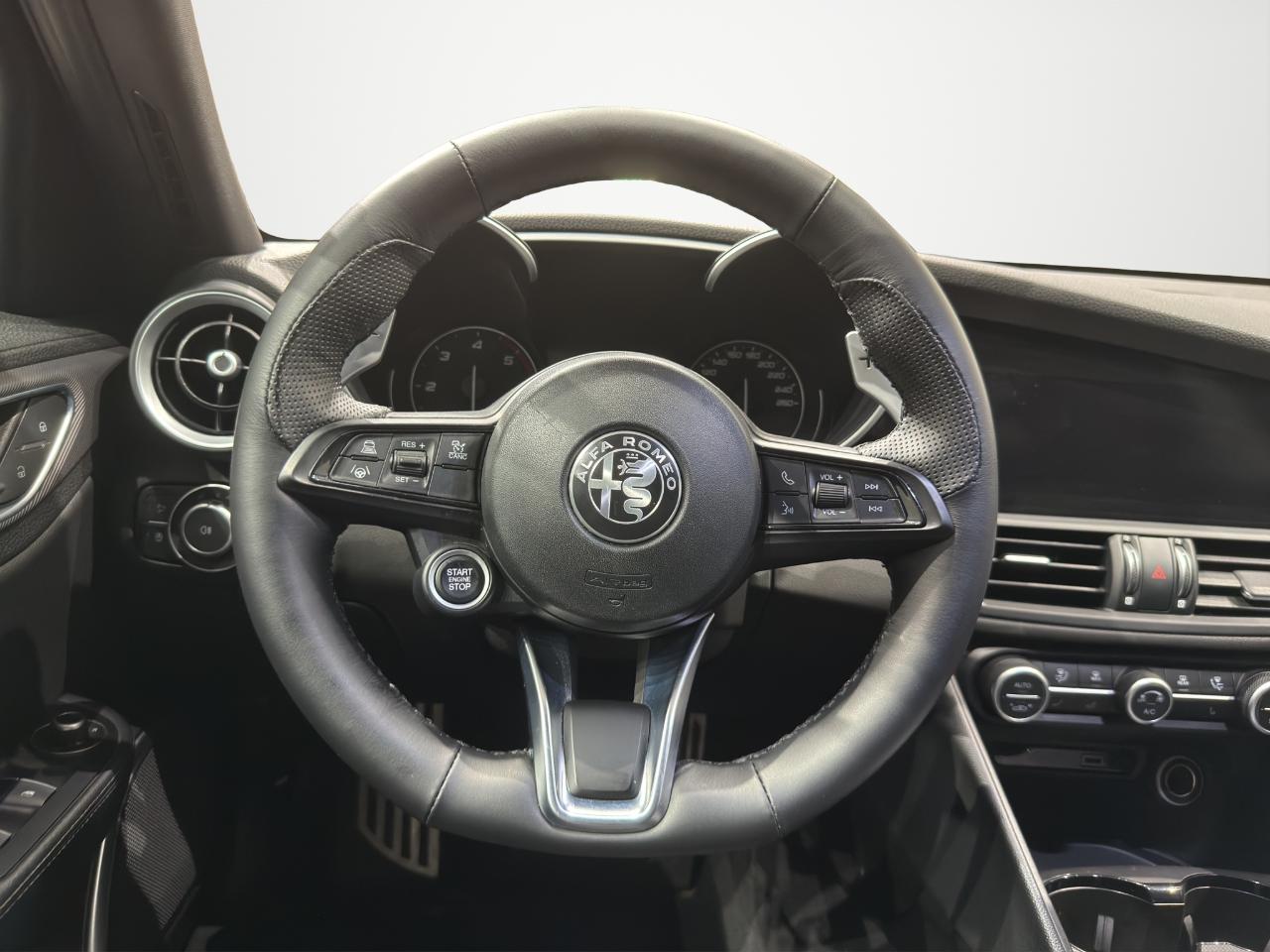 Alfa Romeo Alfa Romeo Giulia usata, con Xenon-led
