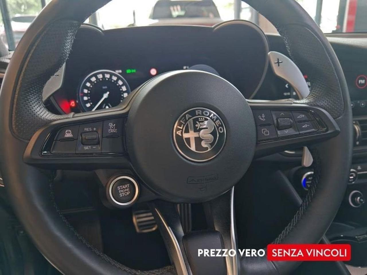 Alfa Romeo Alfa Romeo Giulia usata 16