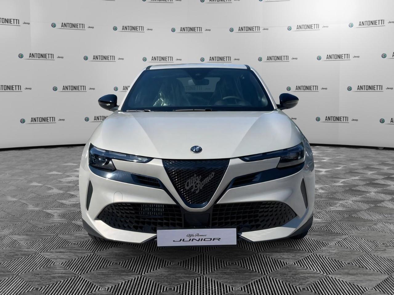Alfa Romeo Alfa Romeo Junior usata 11