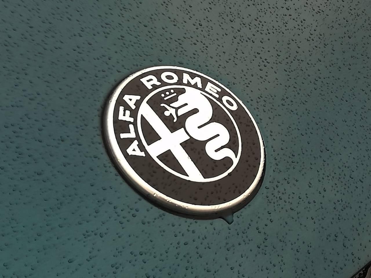 Alfa Romeo Alfa Romeo Junior usata 16