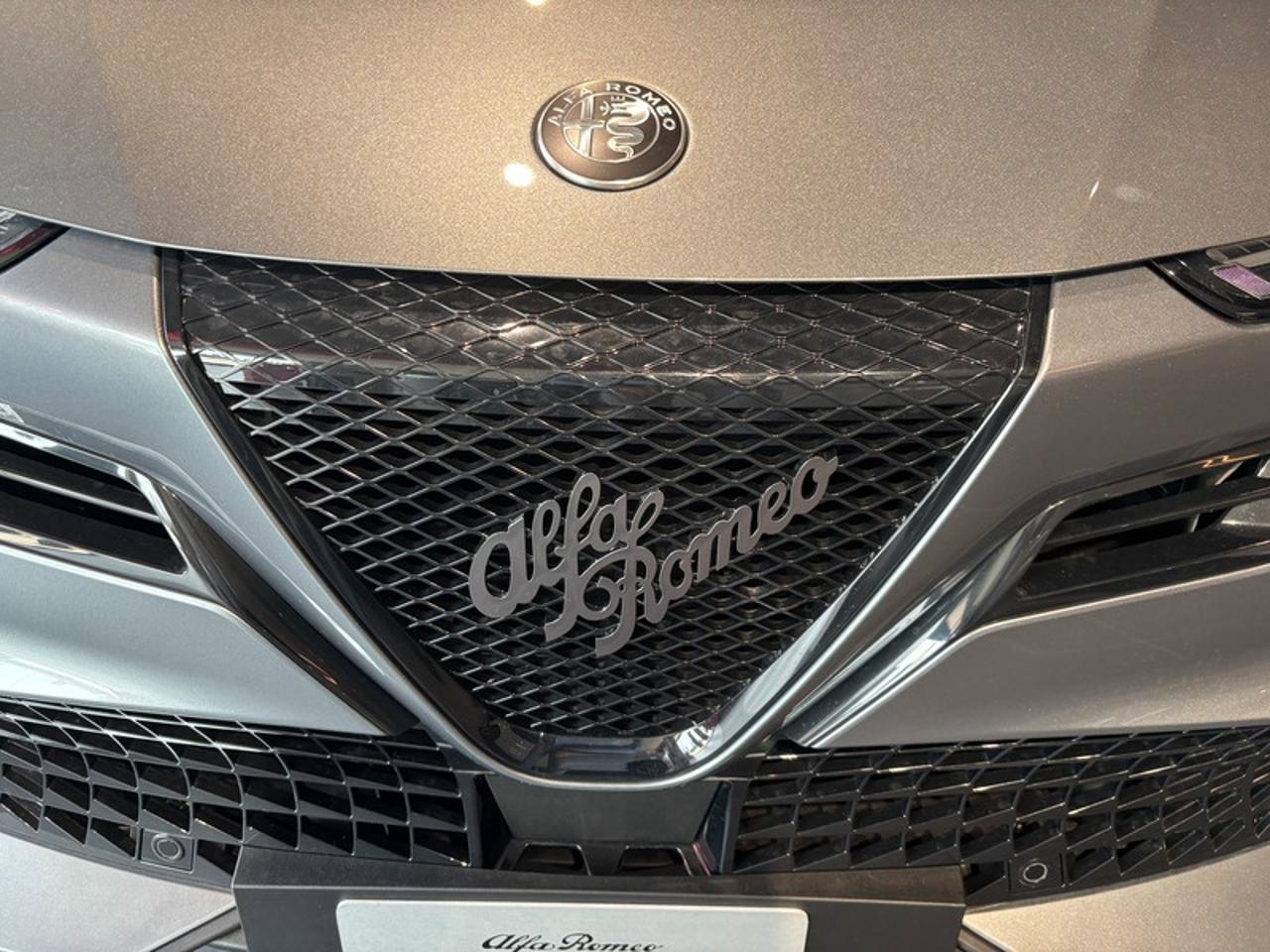 Alfa Romeo Alfa Romeo Junior usata 19
