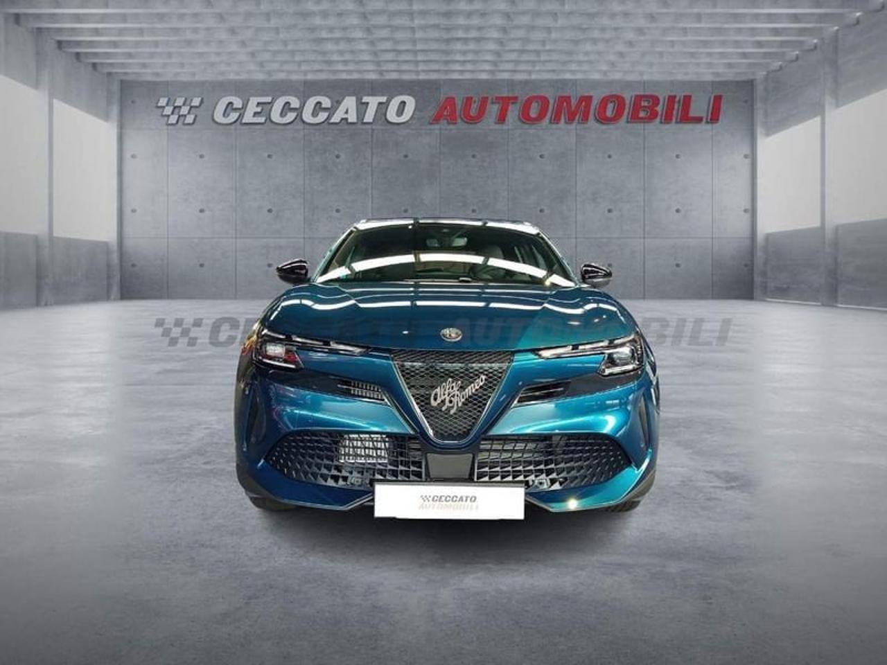 Alfa Romeo Alfa Romeo Junior usata 19