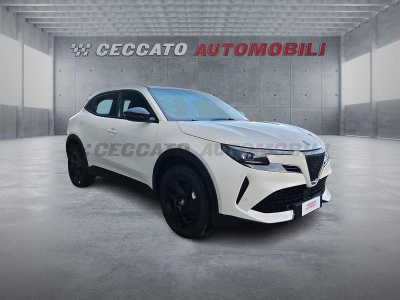 Alfa Romeo Alfa Romeo Junior usata 7
