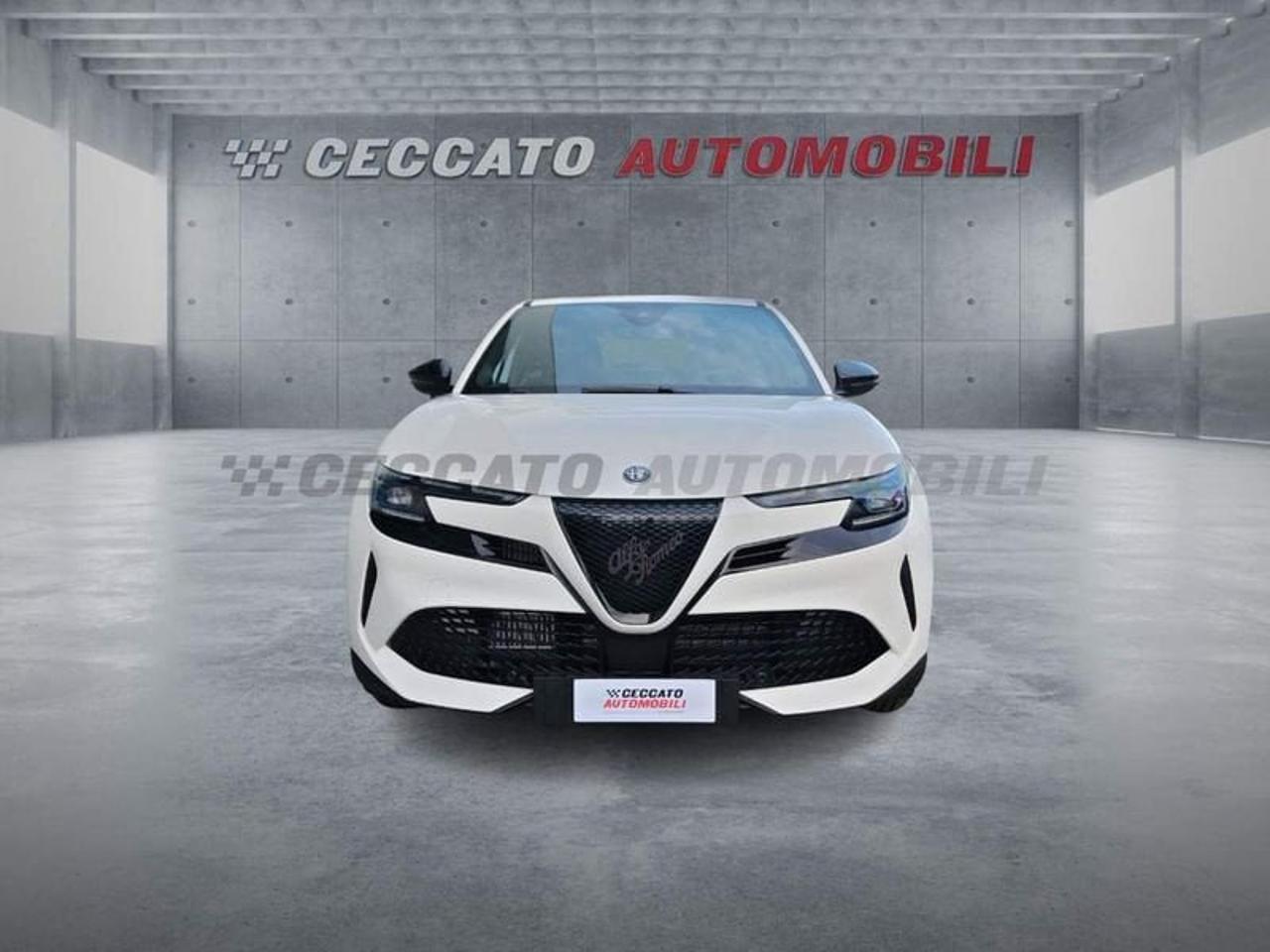 Alfa Romeo Alfa Romeo Junior usata 19
