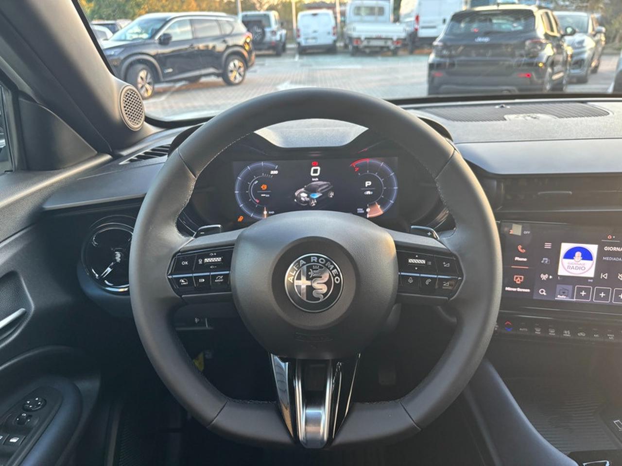 Alfa Romeo Alfa Romeo Junior usata 9