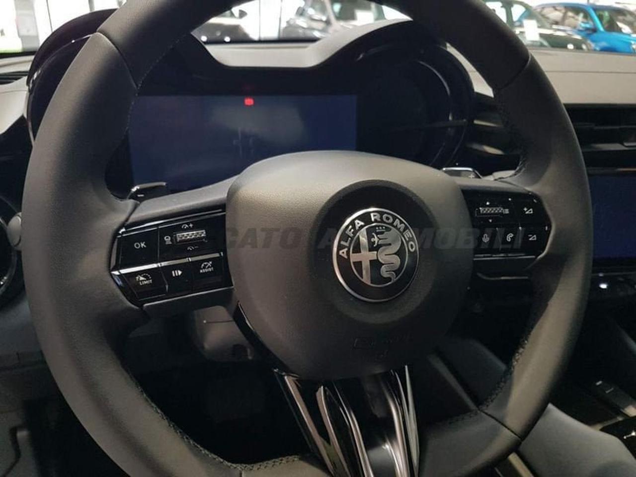 Alfa Romeo Alfa Romeo Junior usata 14