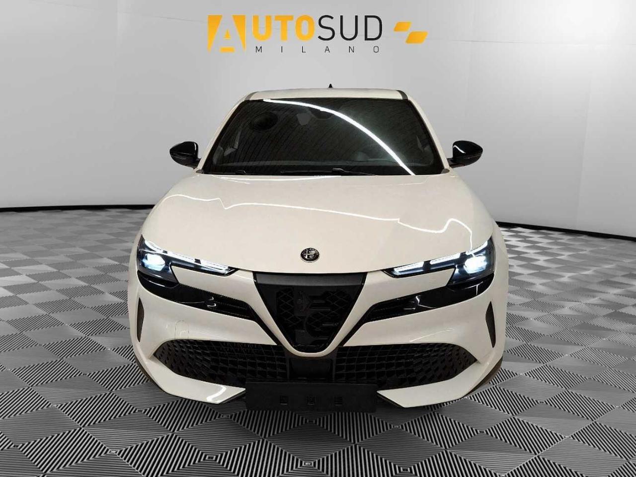Alfa Romeo Alfa Romeo Junior usata 12