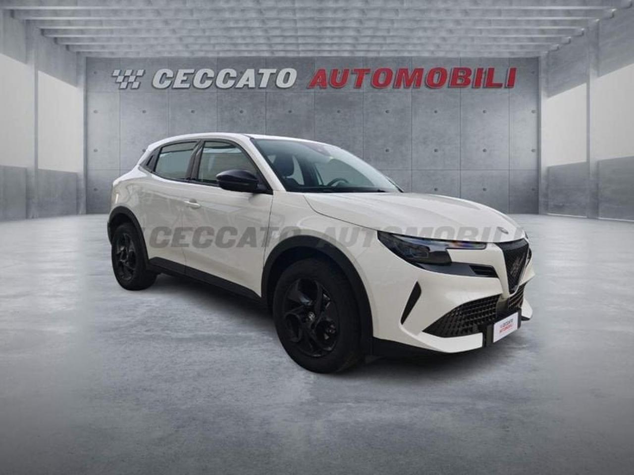 Alfa Romeo Alfa Romeo Junior usata 6