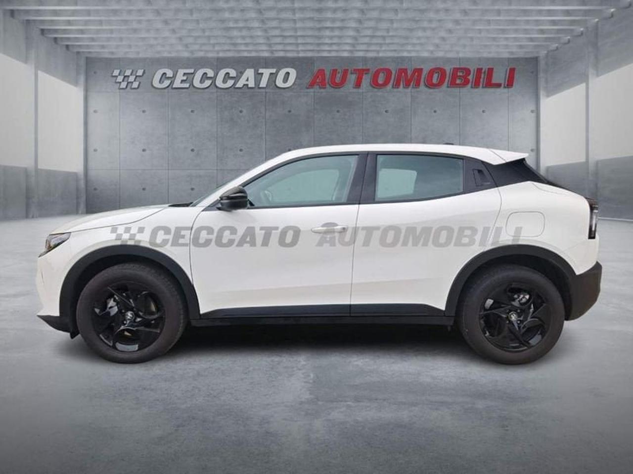 Alfa Romeo Alfa Romeo Junior usata 11