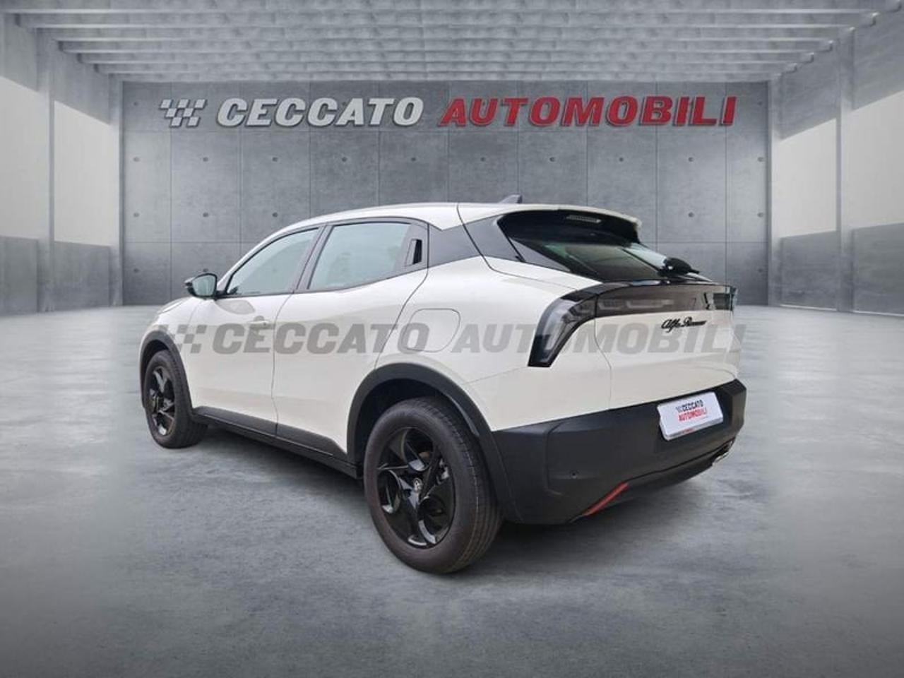 Alfa Romeo Alfa Romeo Junior usata 16