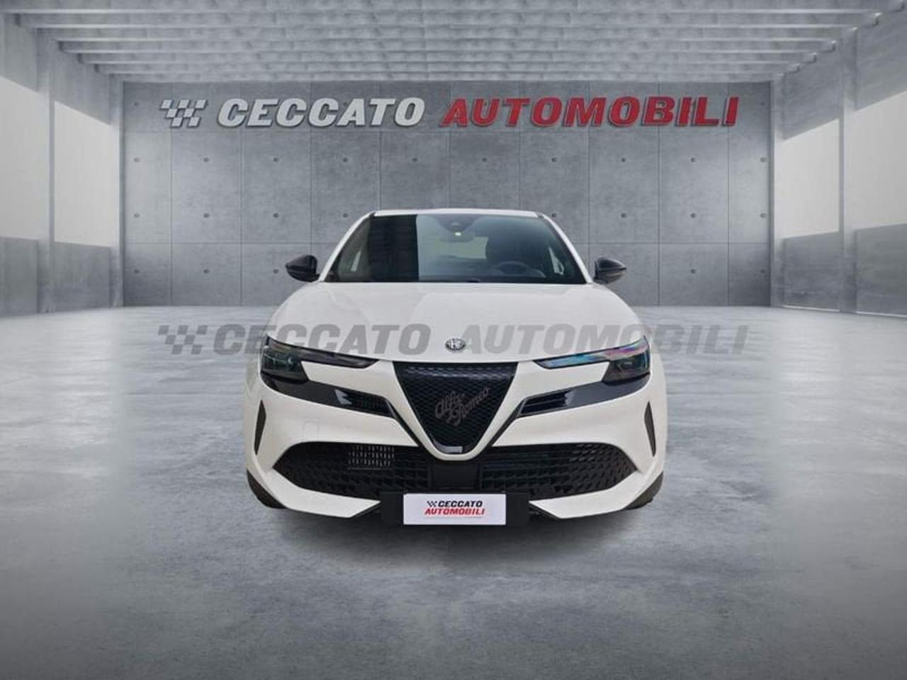 Alfa Romeo Alfa Romeo Junior usata 17