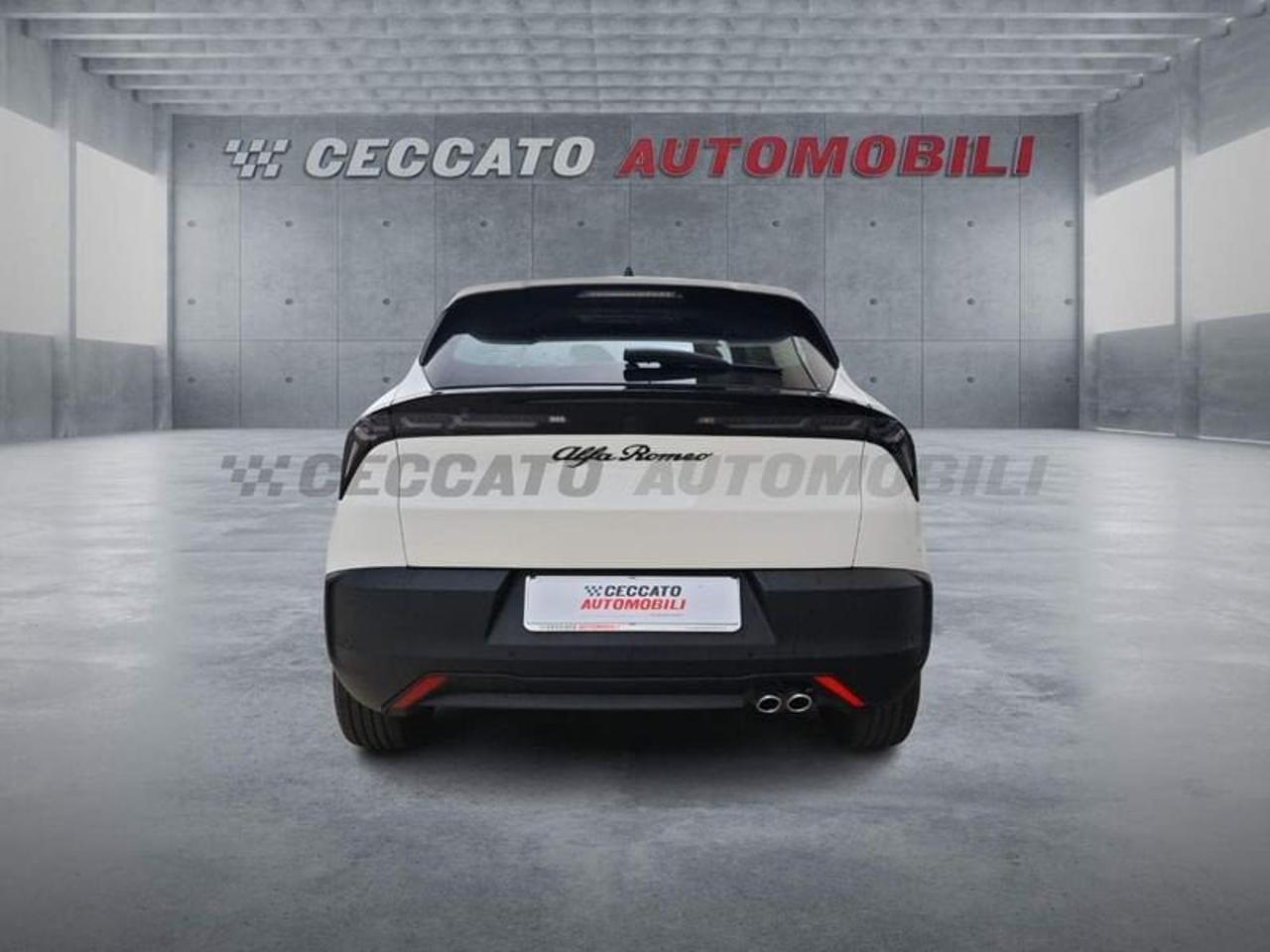 Alfa Romeo Alfa Romeo Junior usata 18