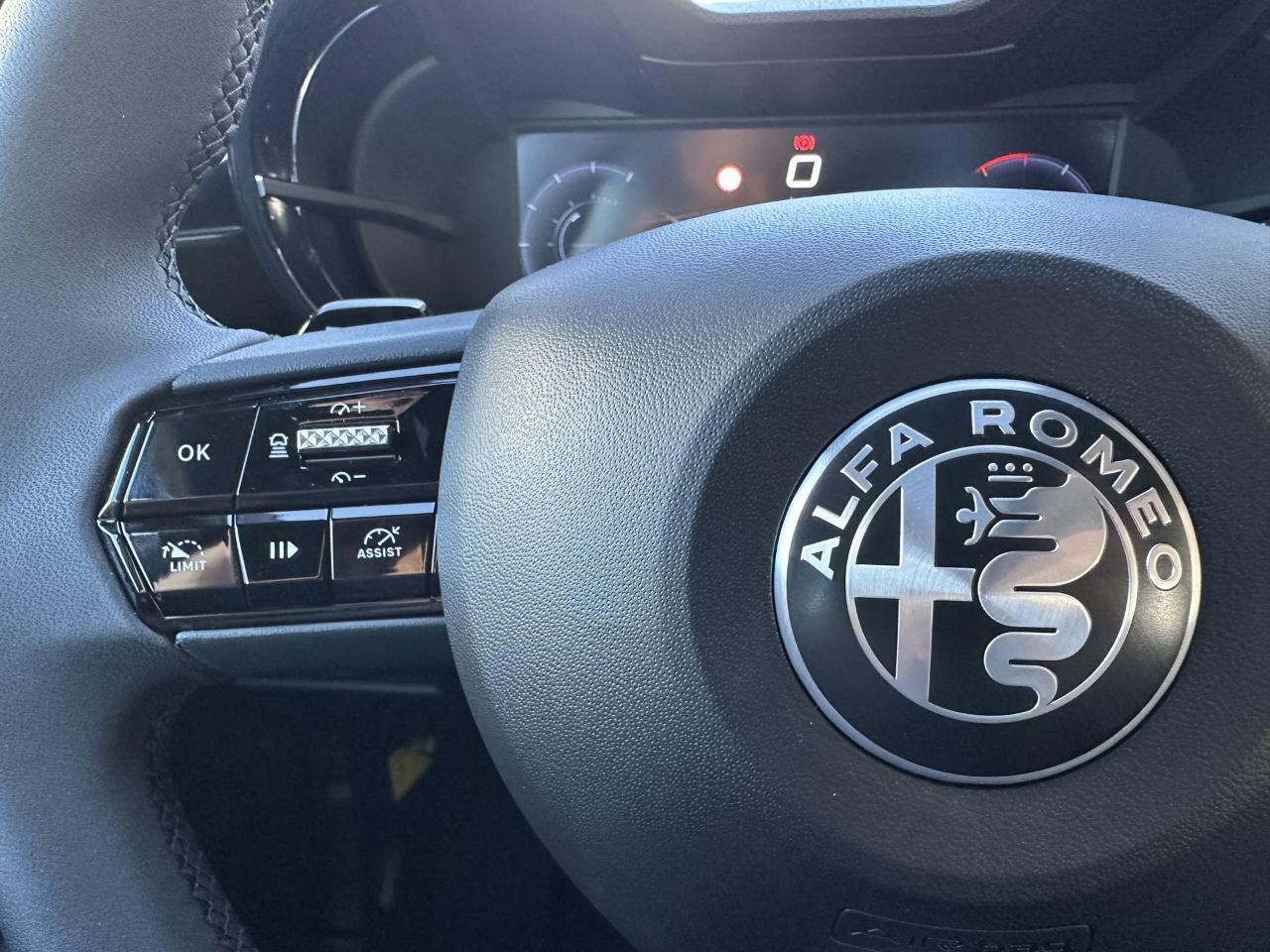 Alfa Romeo Alfa Romeo Junior usata 9