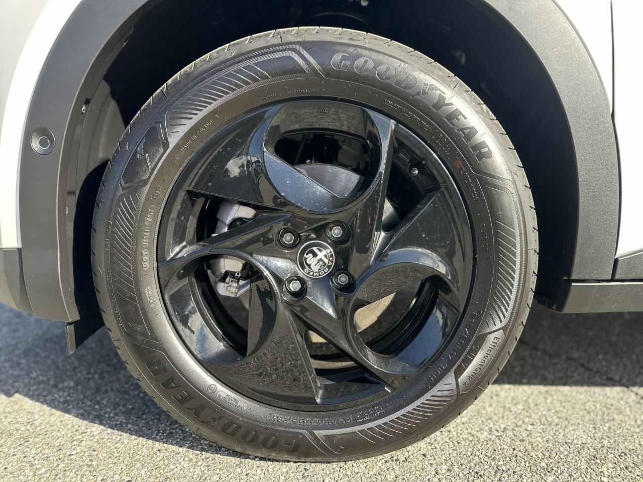 Alfa Romeo Alfa Romeo Junior usata 25