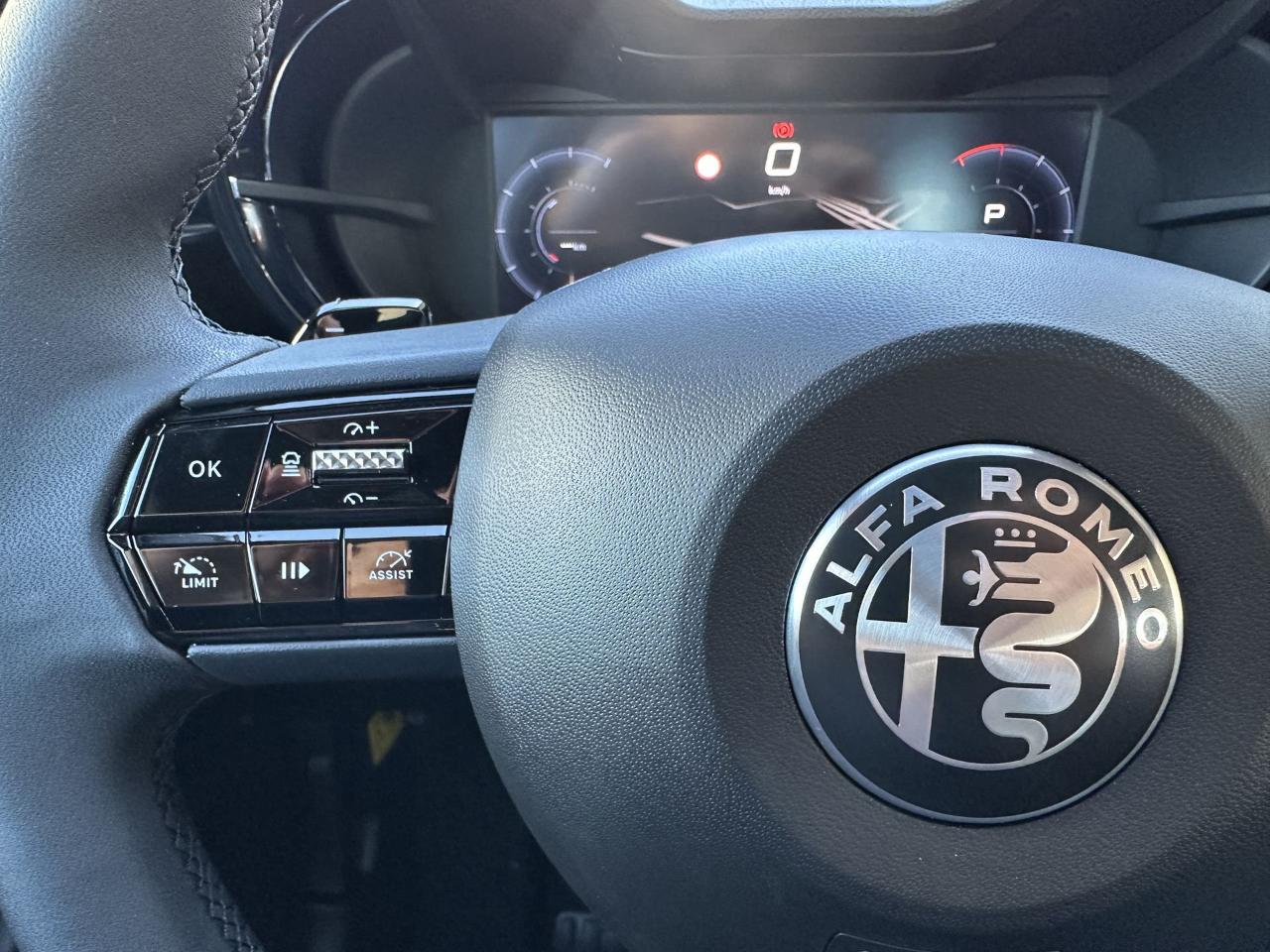 Alfa Romeo Alfa Romeo Junior usata 9