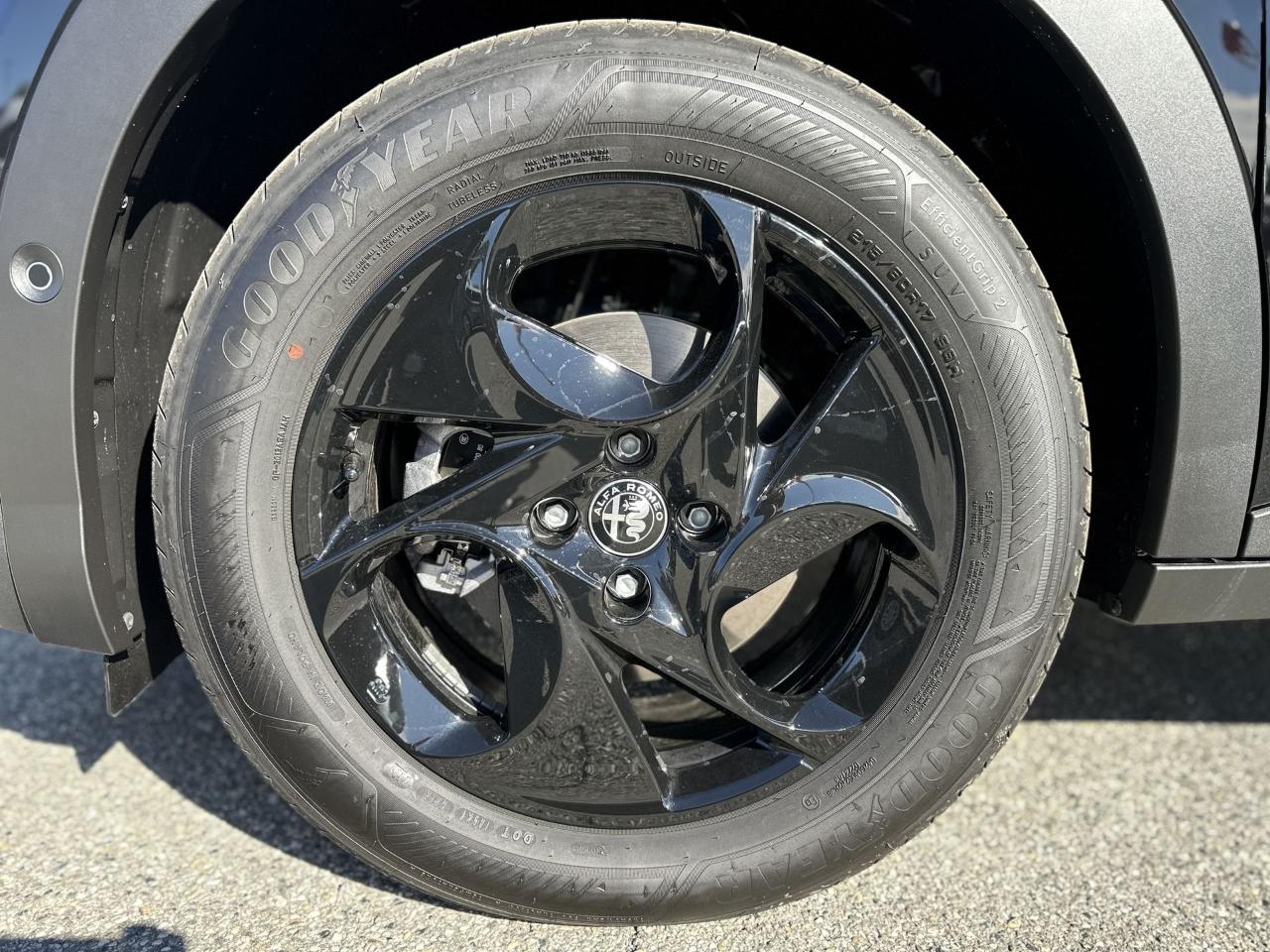 Alfa Romeo Alfa Romeo Junior usata 24