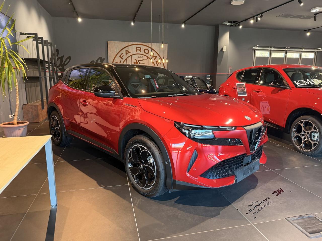 Alfa Romeo Alfa Romeo Junior usata 18