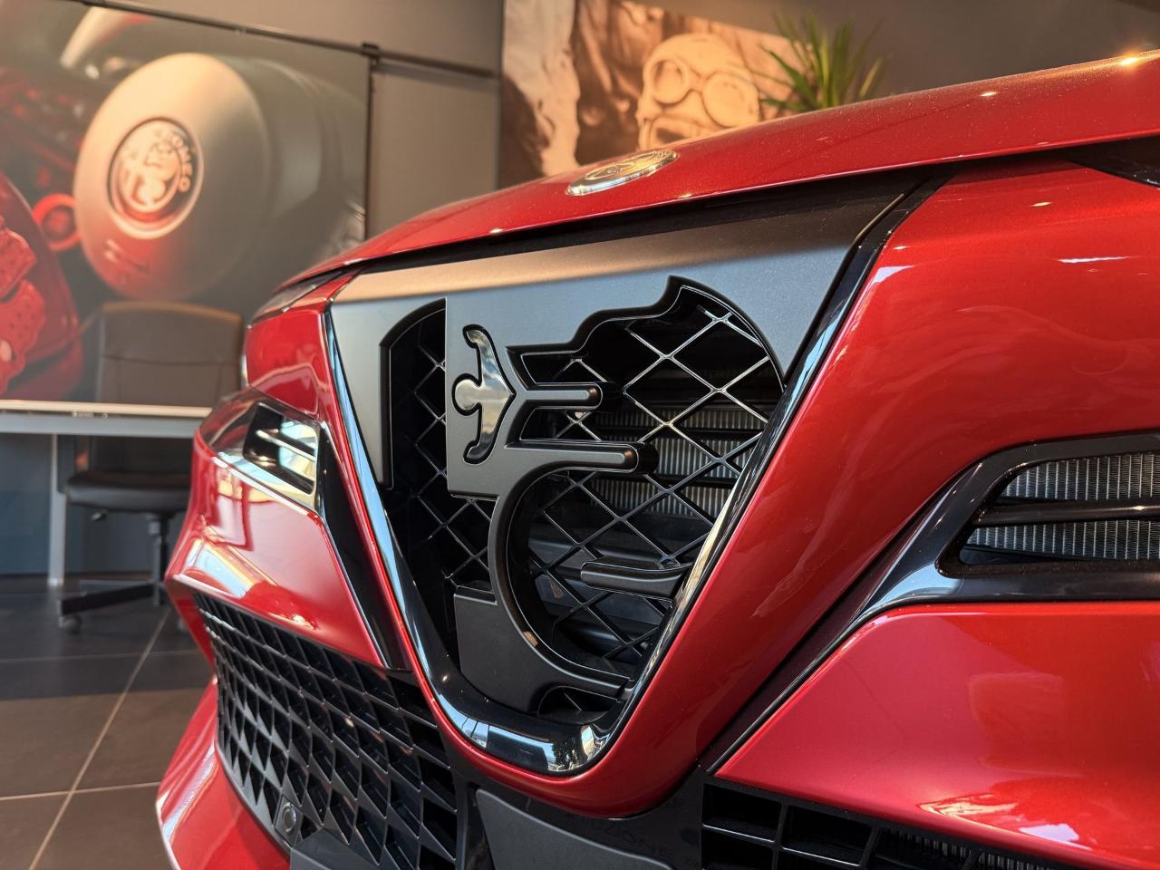 Alfa Romeo Alfa Romeo Junior usata 23