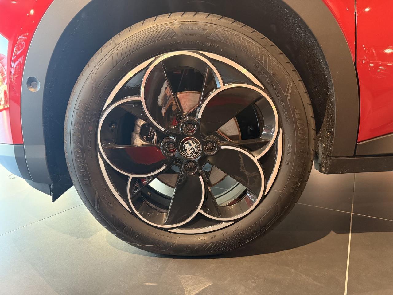 Alfa Romeo Alfa Romeo Junior usata 24