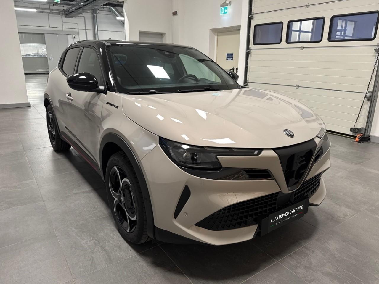 Alfa Romeo Alfa Romeo Junior usata 14