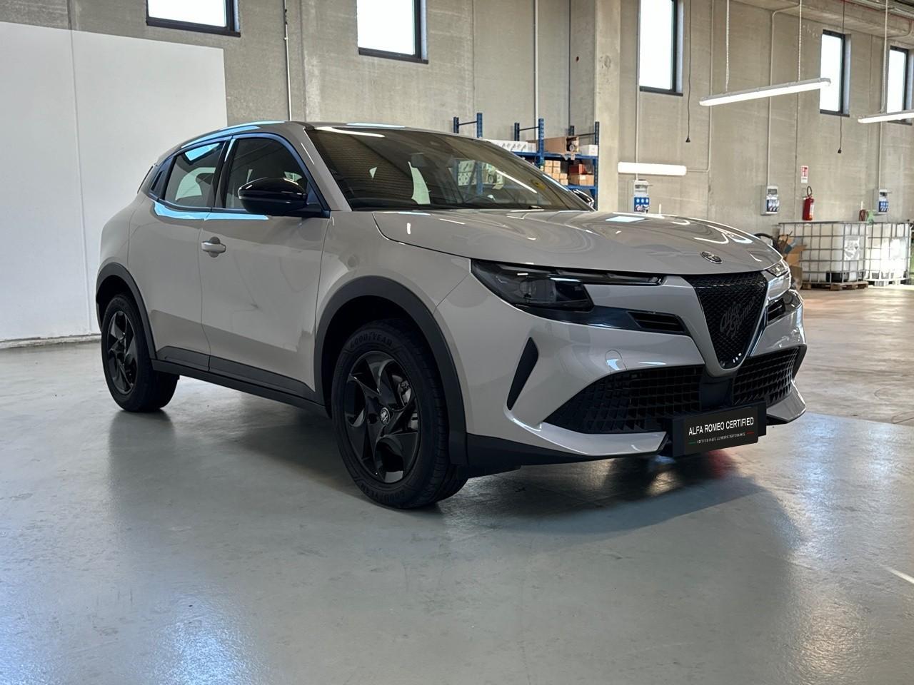 Alfa Romeo Alfa Romeo Junior usata 14