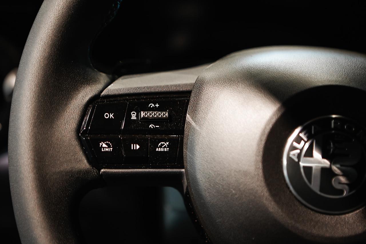 Alfa Romeo Alfa Romeo Junior usata 3