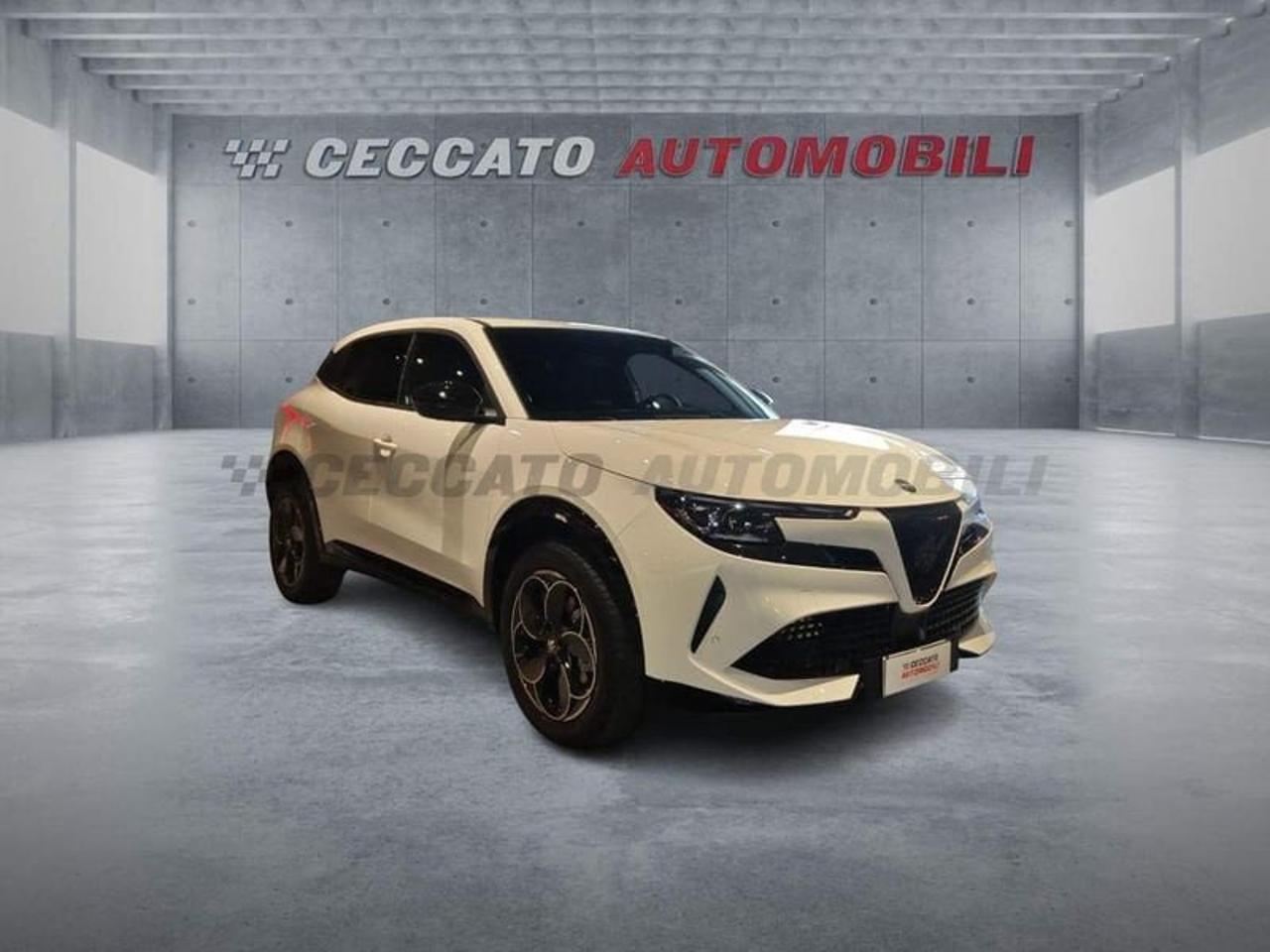 Alfa Romeo Alfa Romeo Junior usata 7