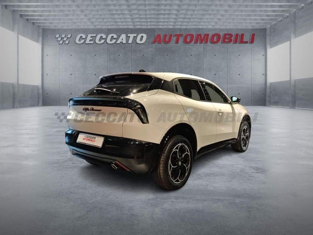 Alfa Romeo Alfa Romeo Junior usata 8