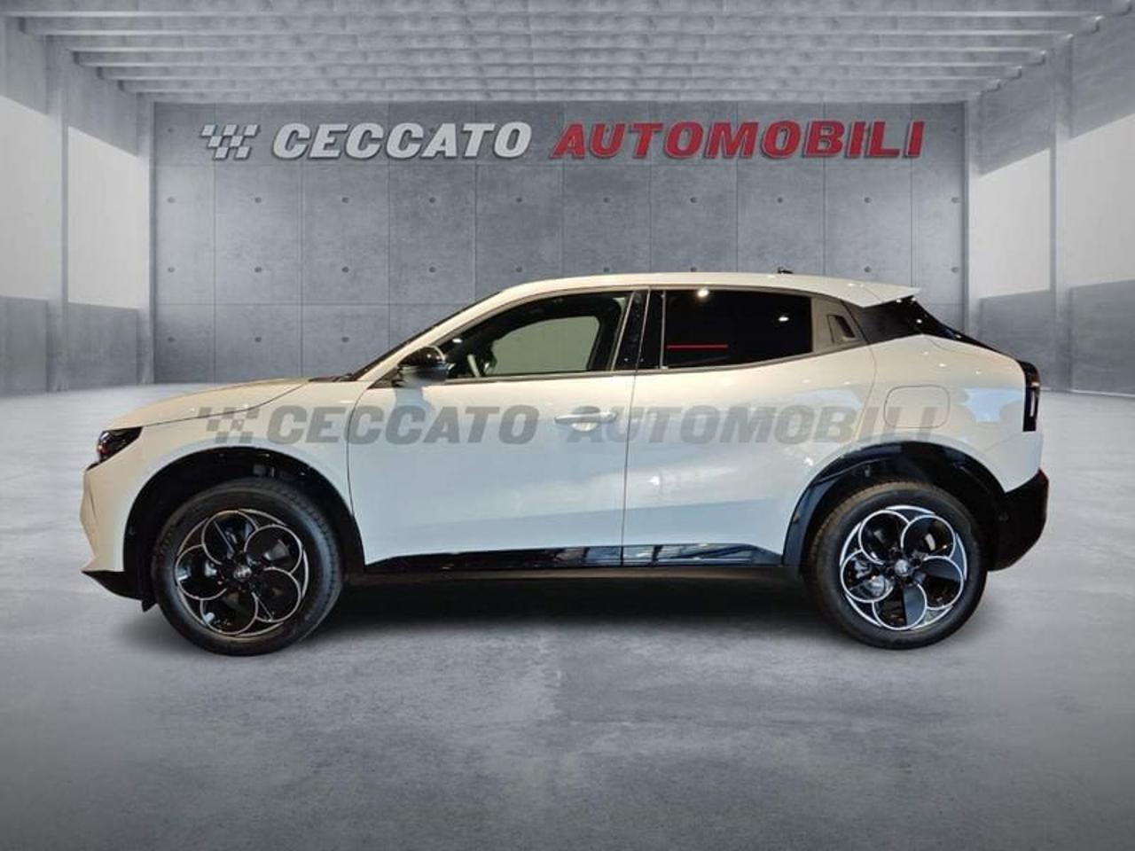 Alfa Romeo Alfa Romeo Junior usata 11