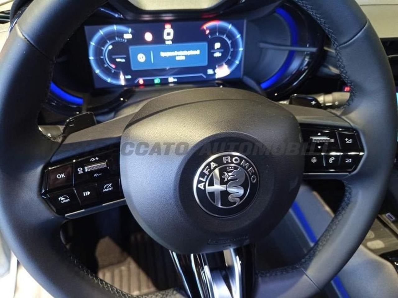 Alfa Romeo Alfa Romeo Junior usata 14