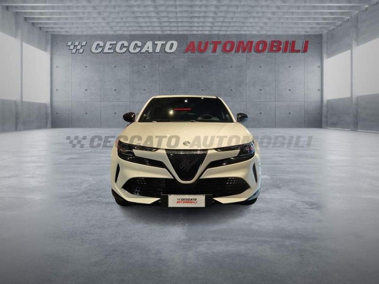 Alfa Romeo Alfa Romeo Junior usata 19