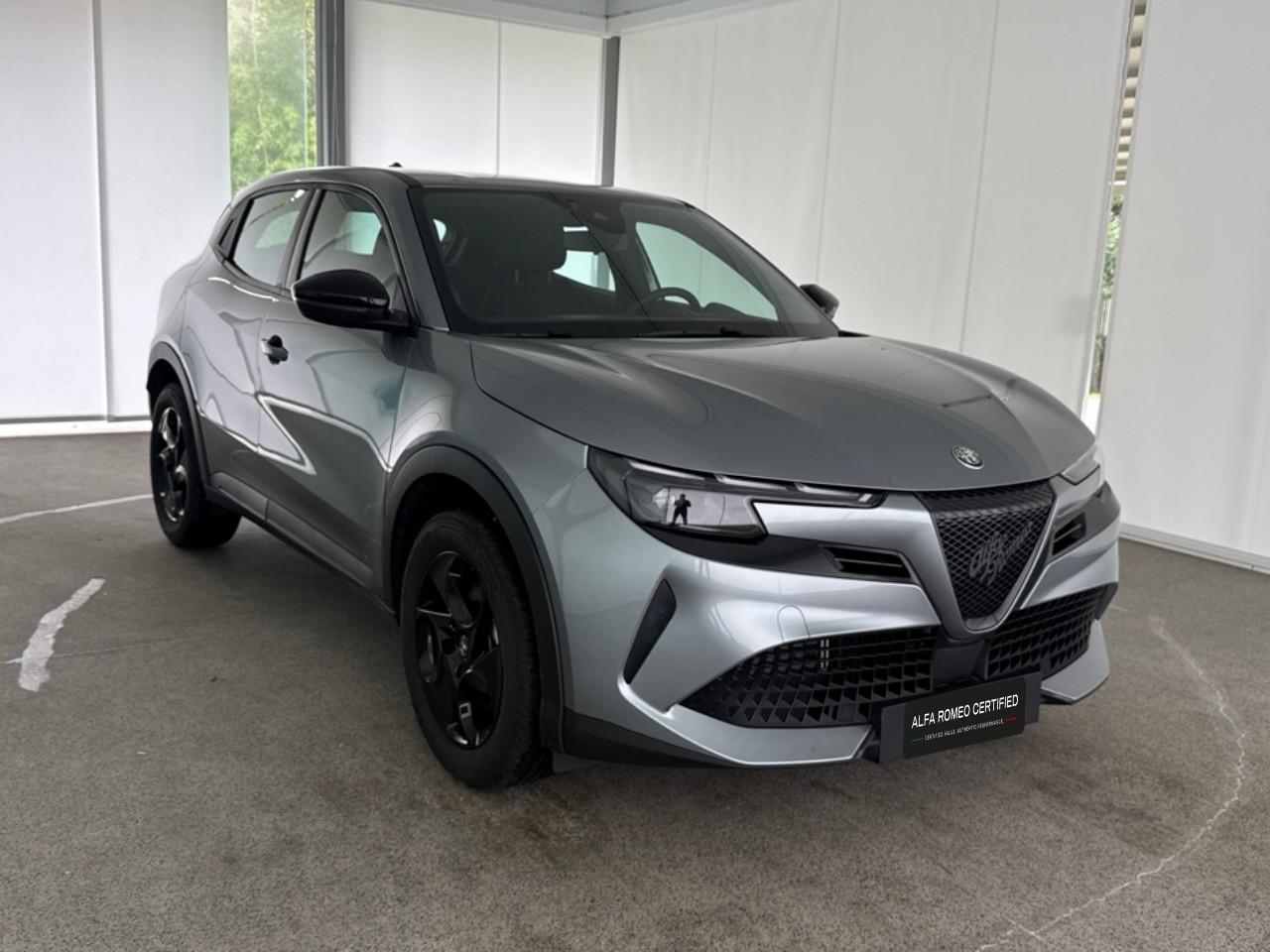 Alfa Romeo Alfa Romeo Junior usata 14