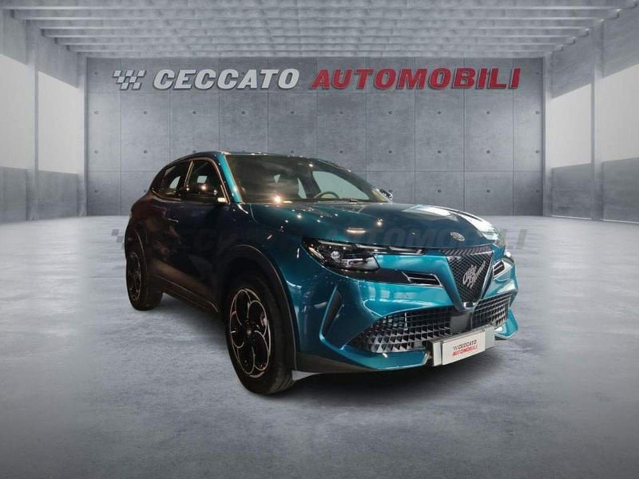 Alfa Romeo Alfa Romeo Junior usata 7