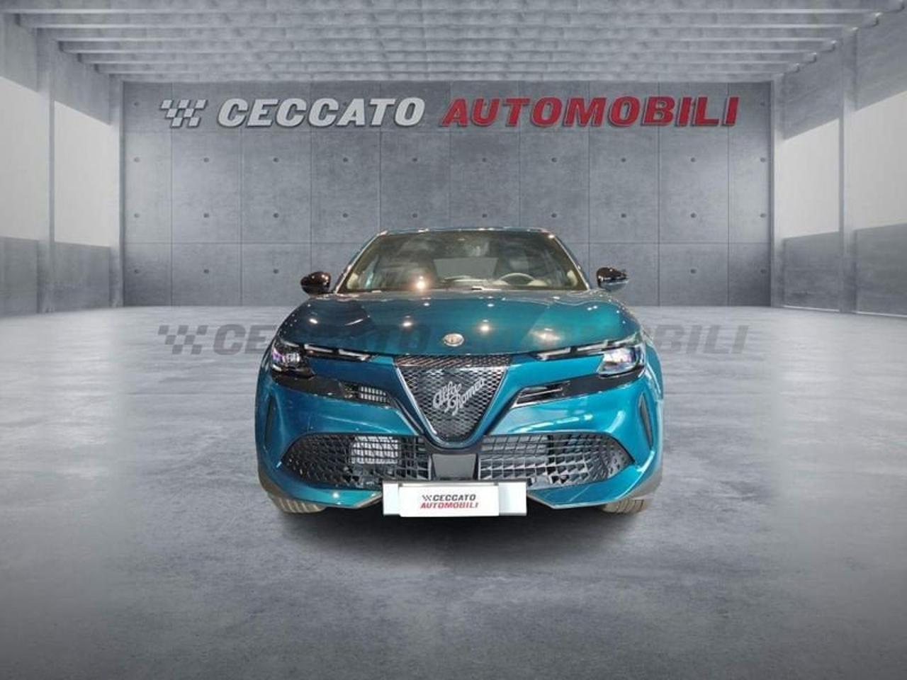 Alfa Romeo Alfa Romeo Junior usata 17