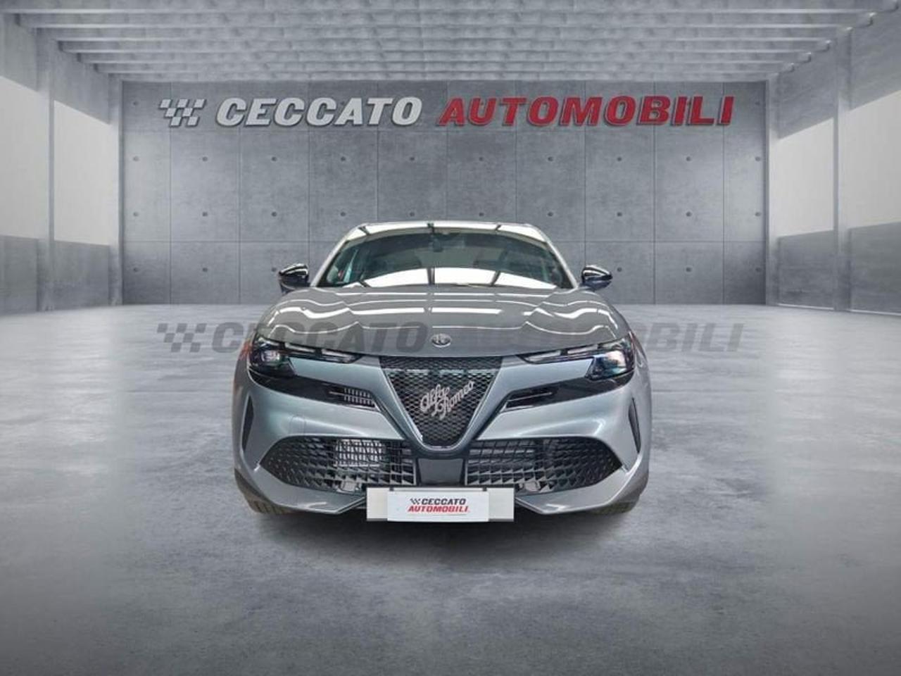 Alfa Romeo Alfa Romeo Junior usata 17