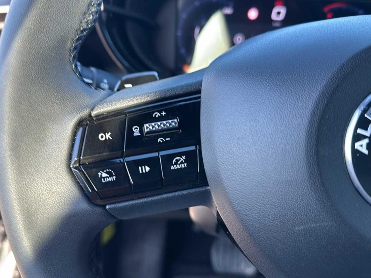 Alfa Romeo Alfa Romeo Junior usata 12