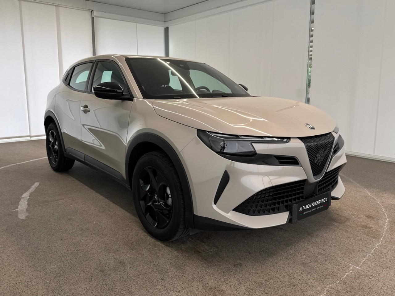 Alfa Romeo Alfa Romeo Junior usata 14