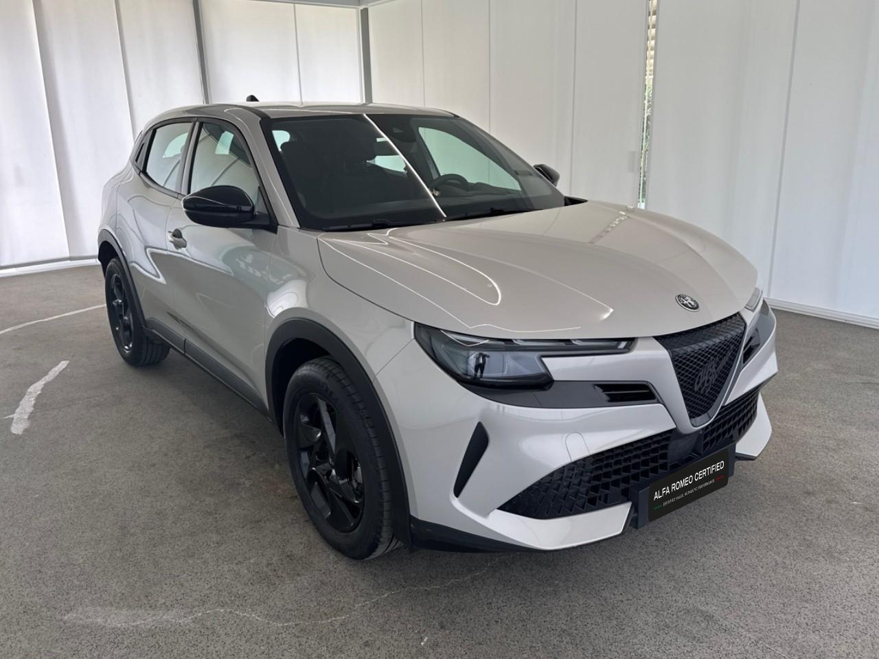 Alfa Romeo Alfa Romeo Junior usata 14