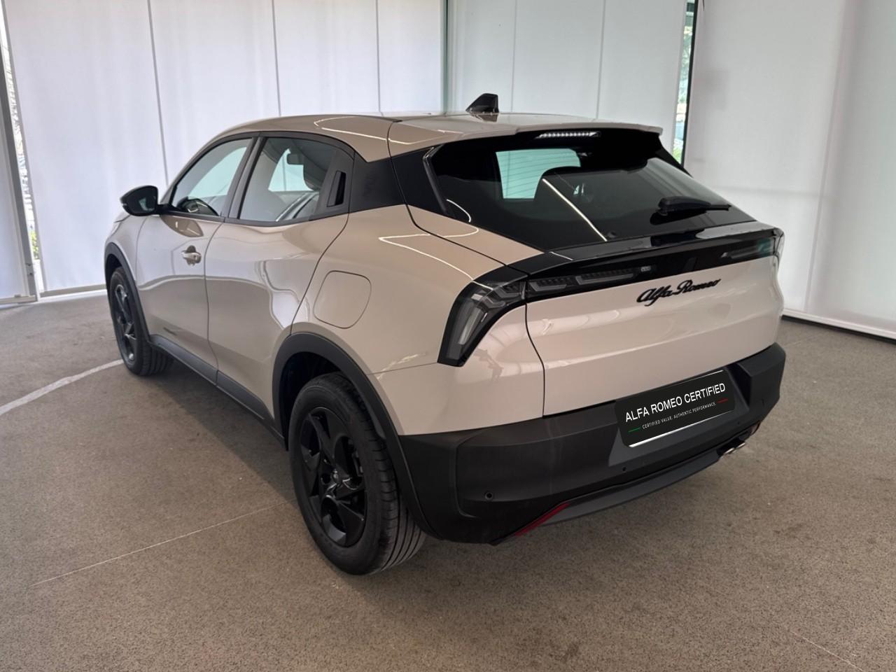 Alfa Romeo Alfa Romeo Junior usata 18