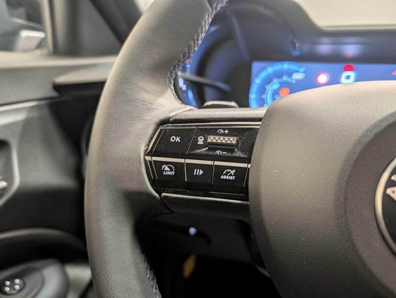 Alfa Romeo Alfa Romeo Junior usata 15