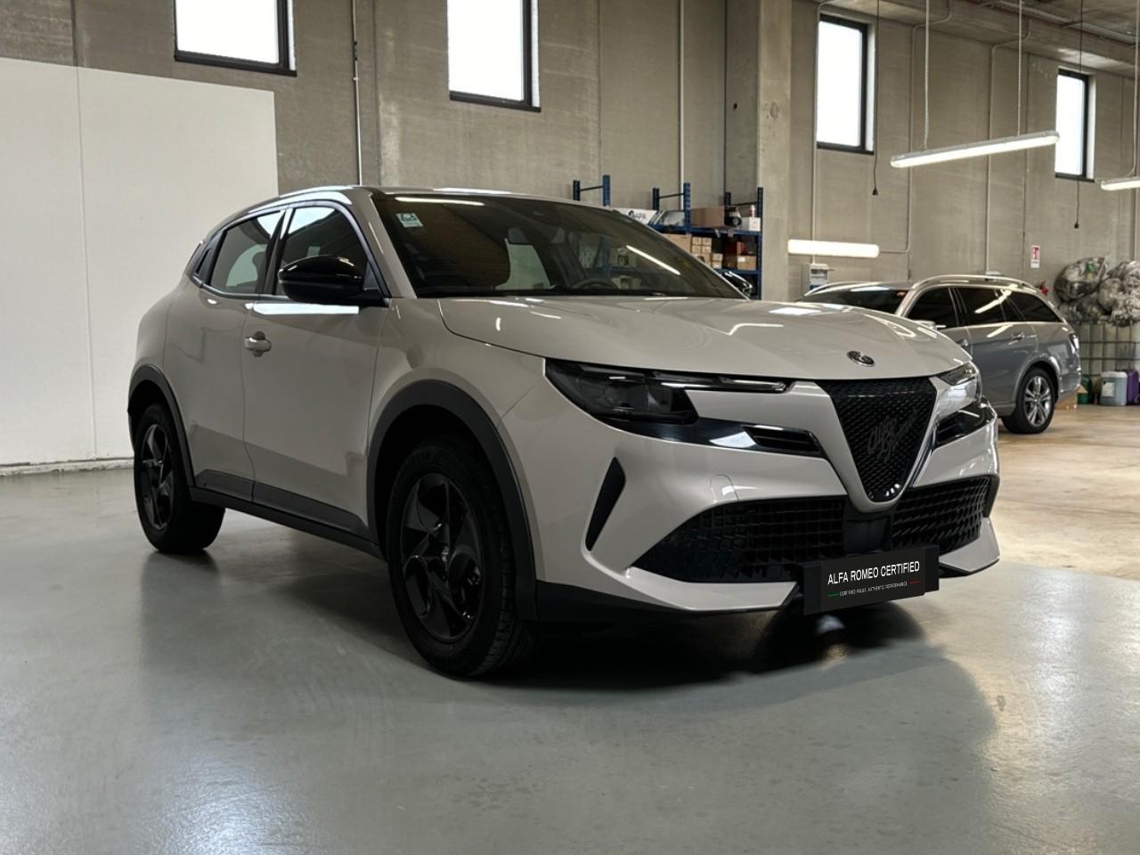 Alfa Romeo Alfa Romeo Junior usata 14