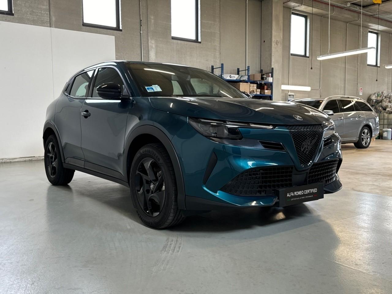 Alfa Romeo Alfa Romeo Junior usata 14