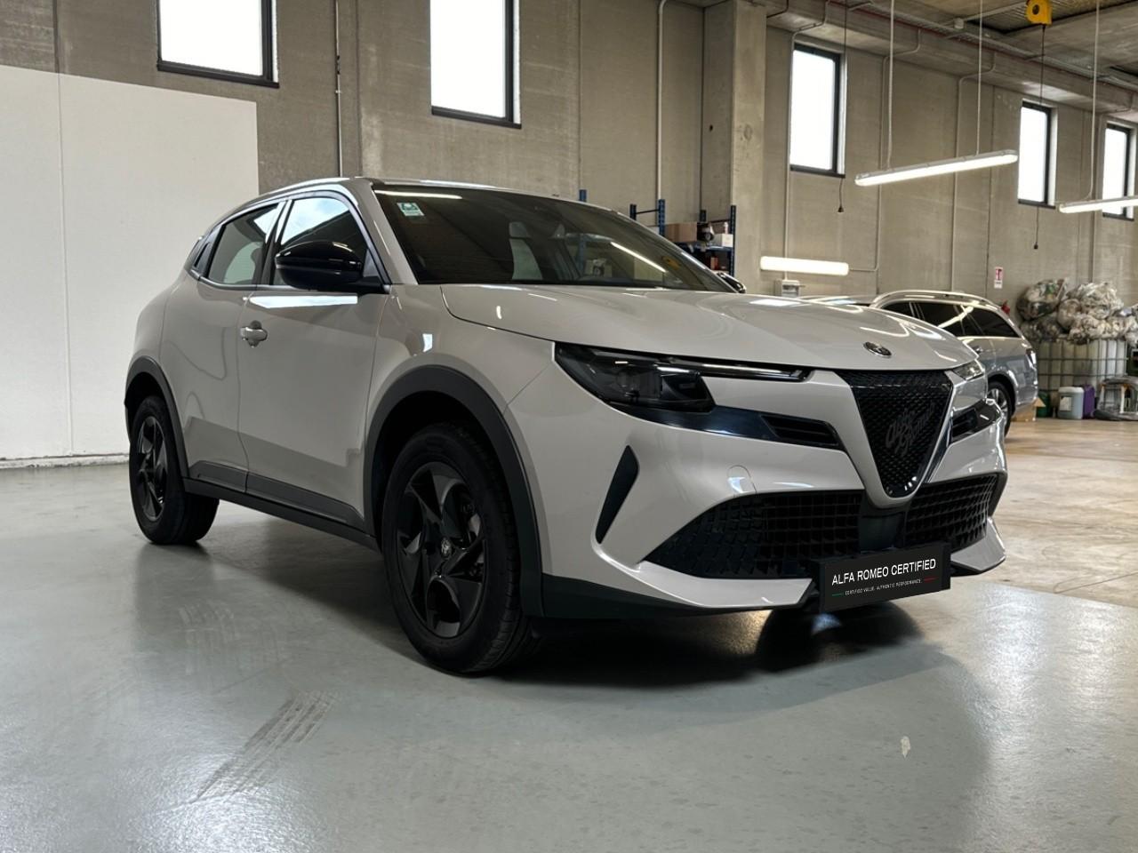 Alfa Romeo Alfa Romeo Junior usata 14