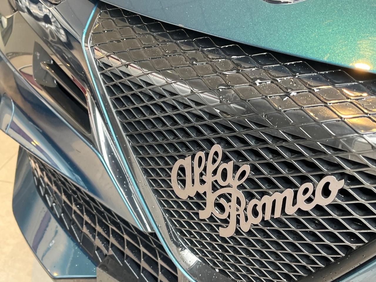 Alfa Romeo Alfa Romeo Junior usata 7