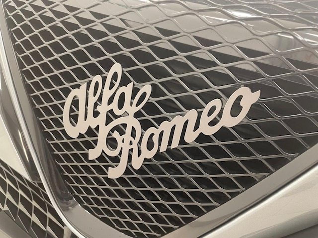 Alfa Romeo Alfa Romeo Junior usata 7