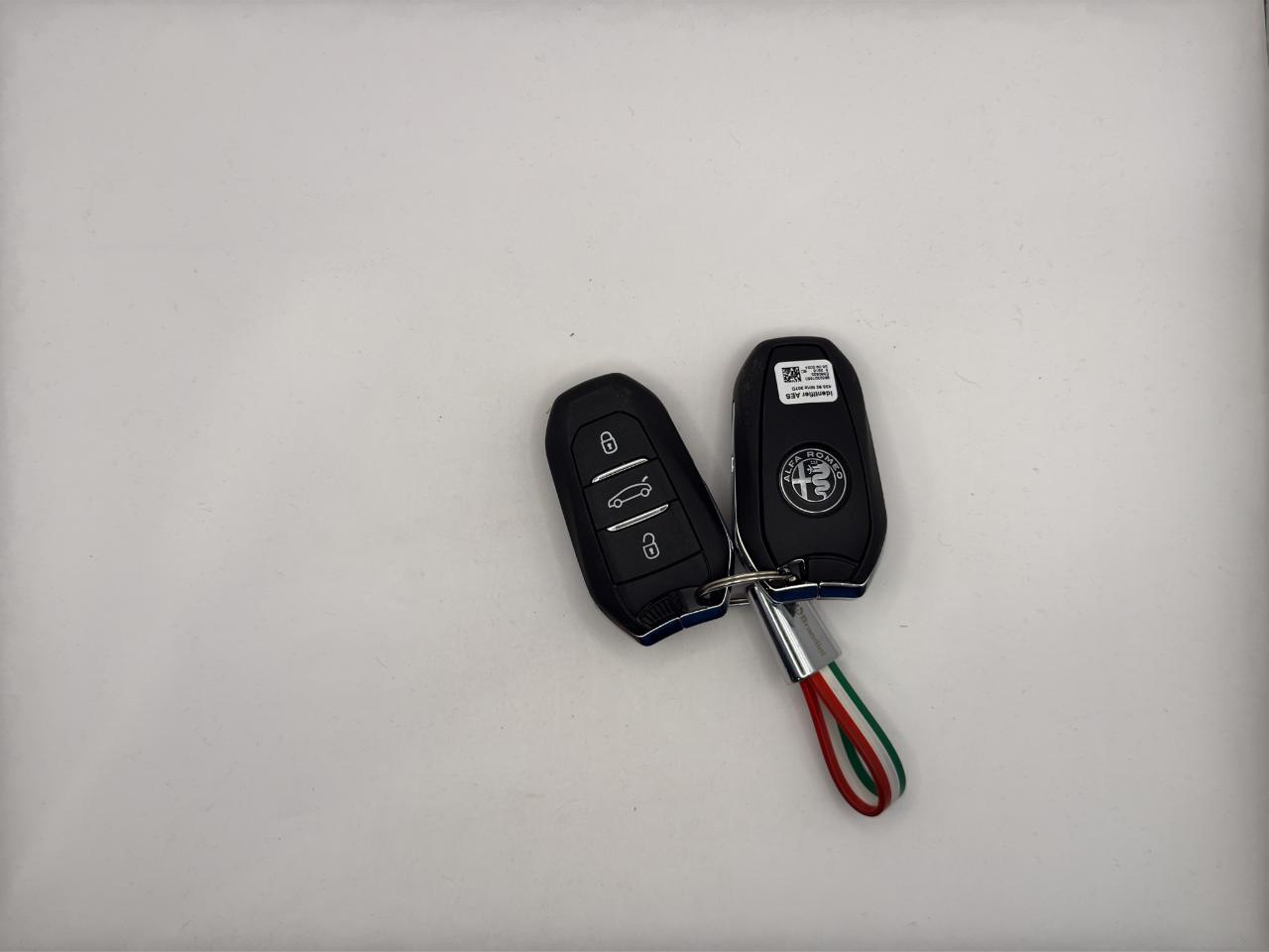 Alfa Romeo Alfa Romeo Junior usata 15