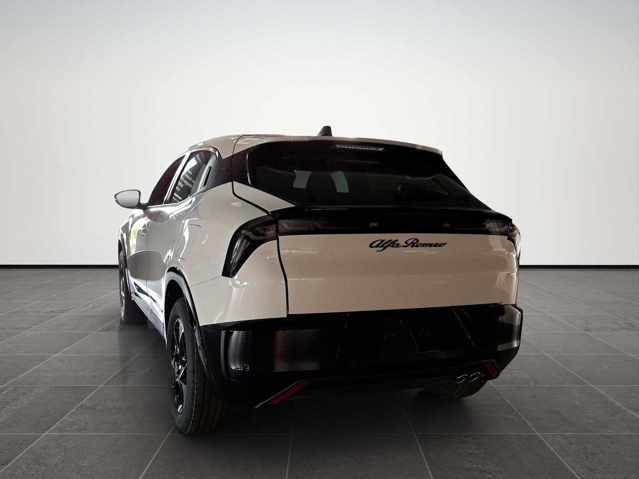 Alfa Romeo Alfa Romeo Junior usata 14