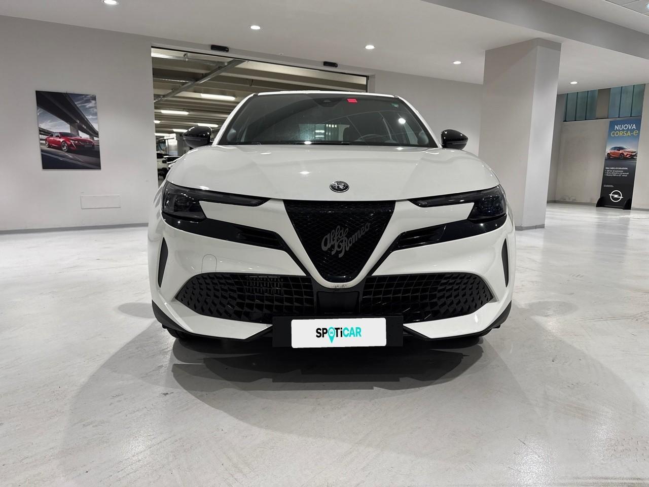 Alfa Romeo Alfa Romeo Junior usata 11