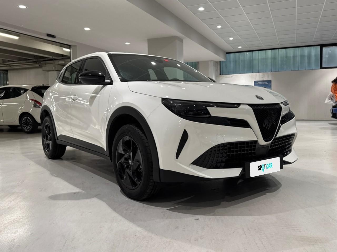 Alfa Romeo Alfa Romeo Junior usata 13